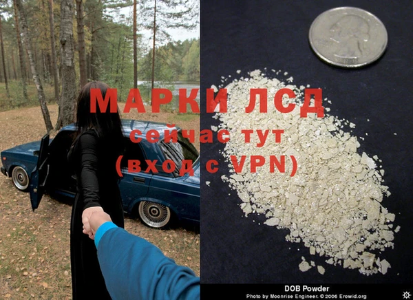 шишки Приозерск