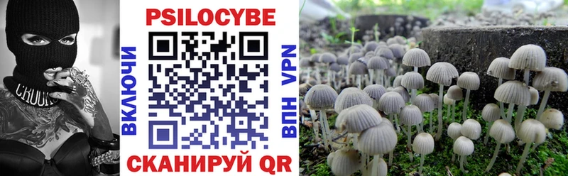 Галлюциногенные грибы мицелий  Кадников 