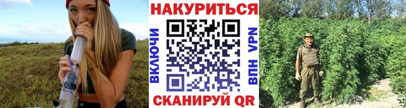 где купить   Кадников  Бошки Шишки Ganja 